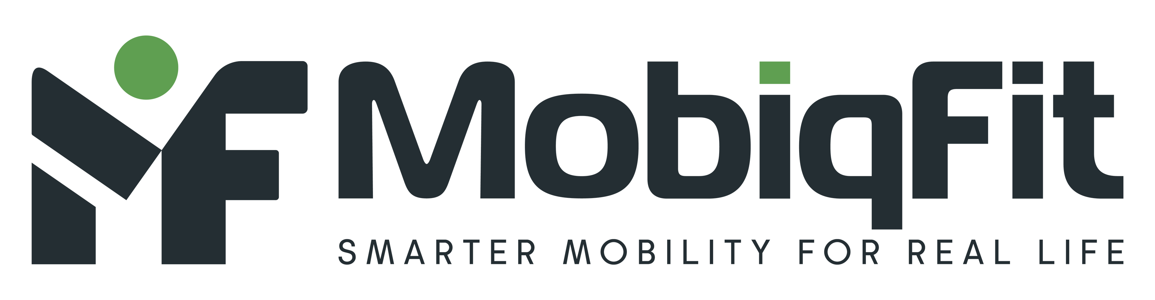 Adjustable Ankle & Wrist Weights